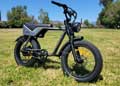 beecool tracer ebike