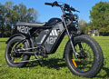 engwe m20 3.0