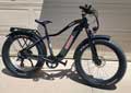 Young Electric Bike